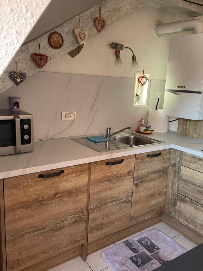 Apartament Aux Petits Coeurs De Colmar Petite Venise Zewnętrze zdjęcie