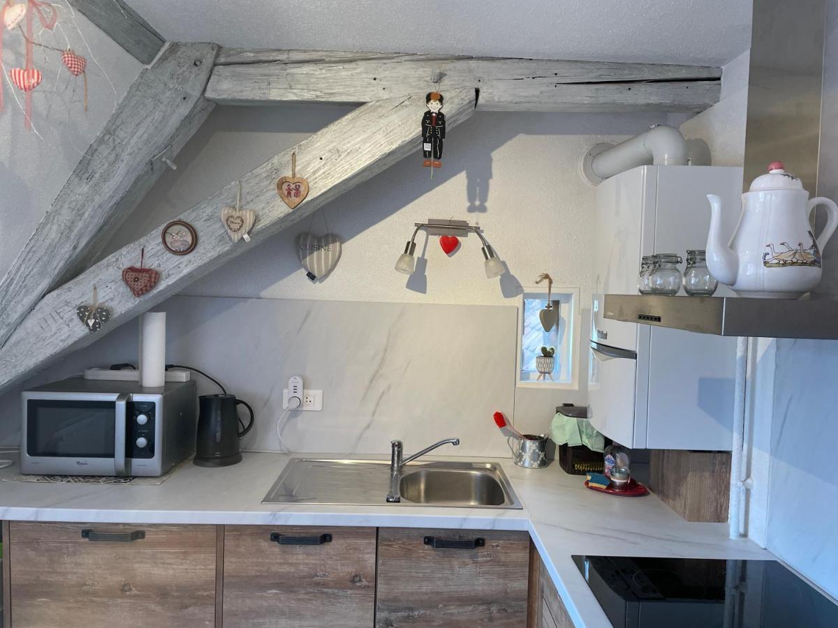 Apartament Aux Petits Coeurs De Colmar Petite Venise Zewnętrze zdjęcie